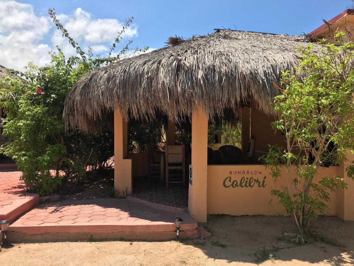 Bungalows Cabo Pulmo Bagian luar foto