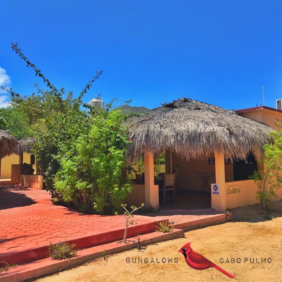 Bungalows Cabo Pulmo Bagian luar foto