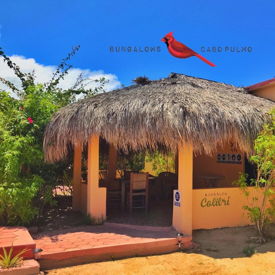 Bungalows Cabo Pulmo Bagian luar foto