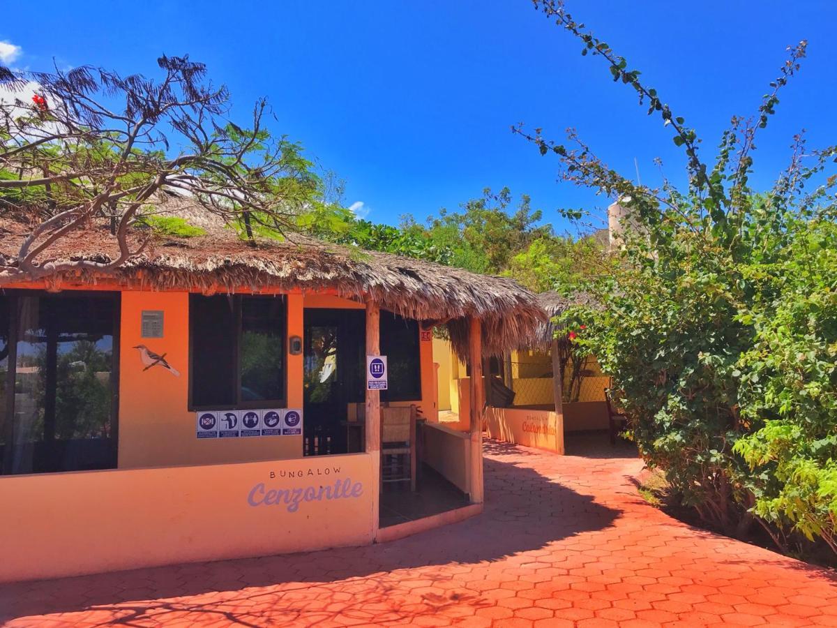 Bungalows Cabo Pulmo Bagian luar foto