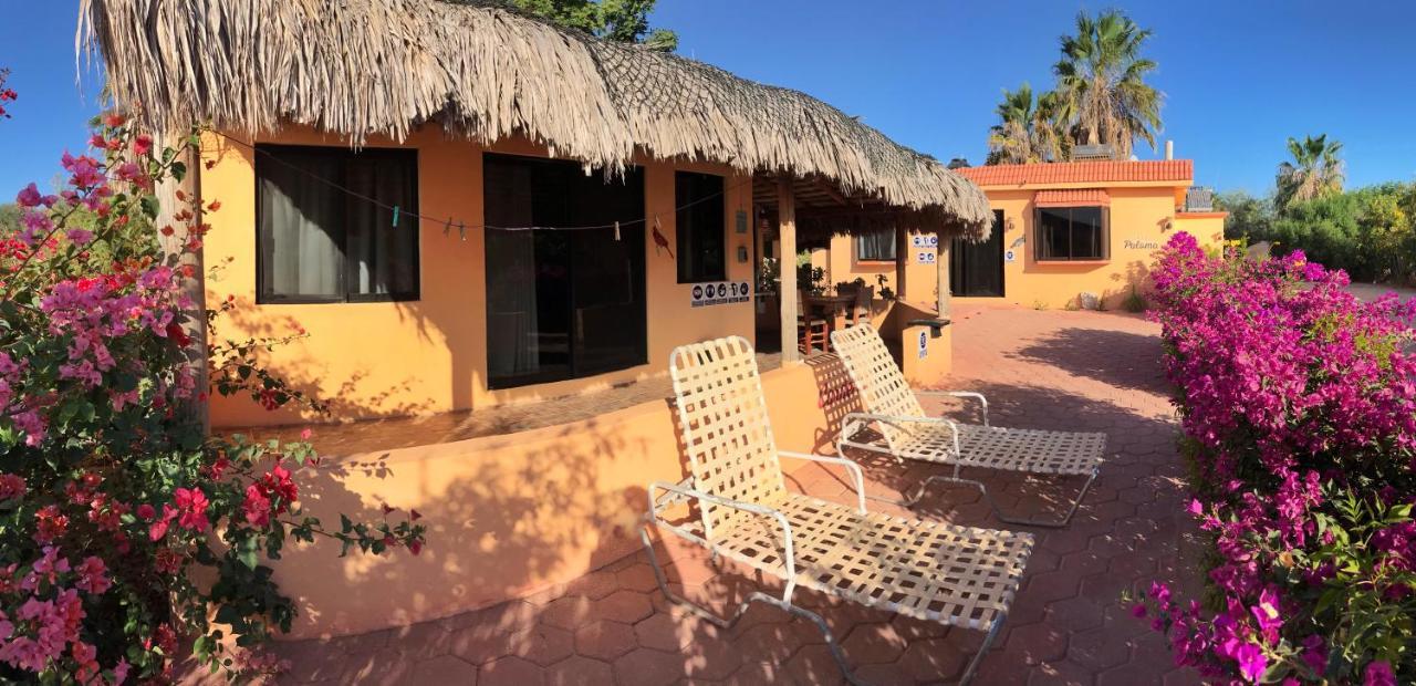 Bungalows Cabo Pulmo Bagian luar foto